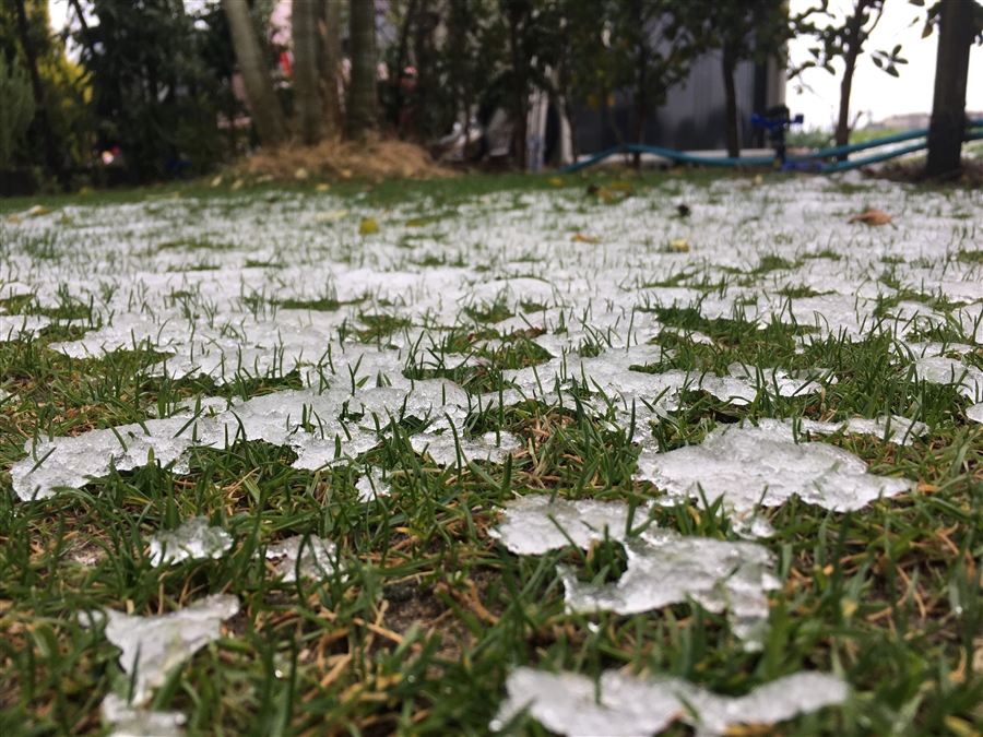 芝生　西洋芝　IoT　Ambient　土壌湿度　センサ 芝刈り 尿素　有機酸酵素EX