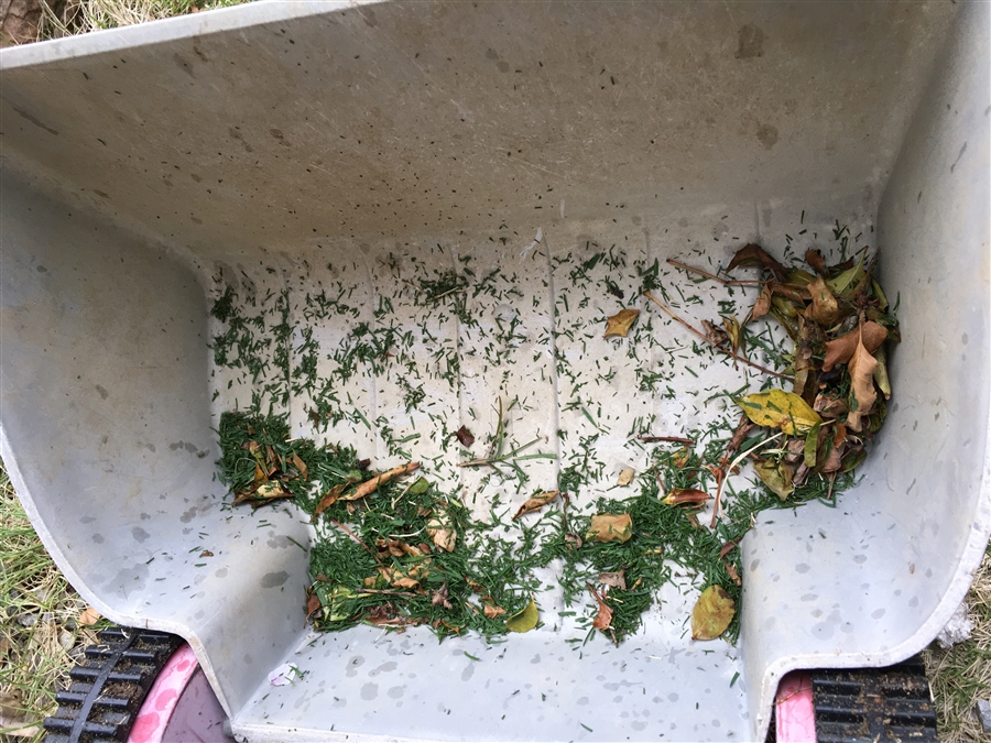 芝生　西洋芝　IoT　ガーデンスパイク　土壌湿度　センサ 芝刈り 尿素　有機酸酵素EX　ミミズ駆除 芝刈り