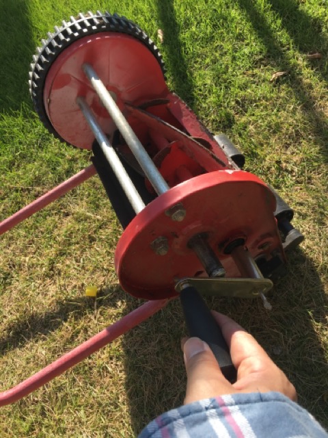芝生　西洋芝　IoT　土壌湿度　夏越し　スプリンクラー　芝刈り機　ラッピング　研磨