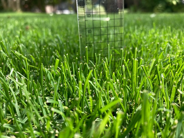 芝生　西洋芝　IoT　土壌湿度　夏越し　スプリンクラー　ヌーブループラス　ダイナマイトLS　ナチュラルニット メデネール 有機酸酵素EX グリーンホスカ