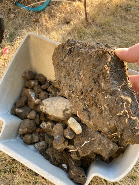 芝生　西洋芝　IoT　土壌湿度　夏越し　スプリンクラー　ヌーブループラス　ダイナマイトLS　ナチュラルニット メデネール 有機酸酵素EX グリーンホスカ 土壌改良　パーライト